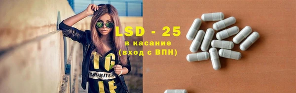 прущие грибы Арсеньев