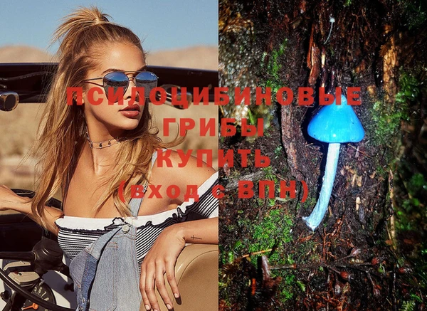 дживик Белая Калитва